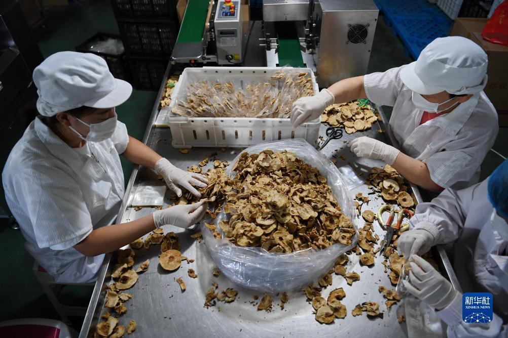 宝马车下载